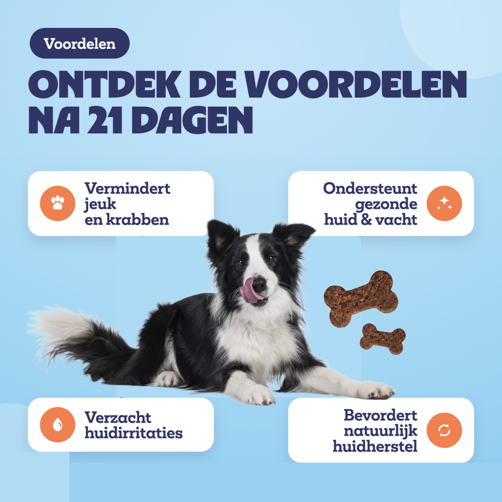 Voordelen na 21 dagen
