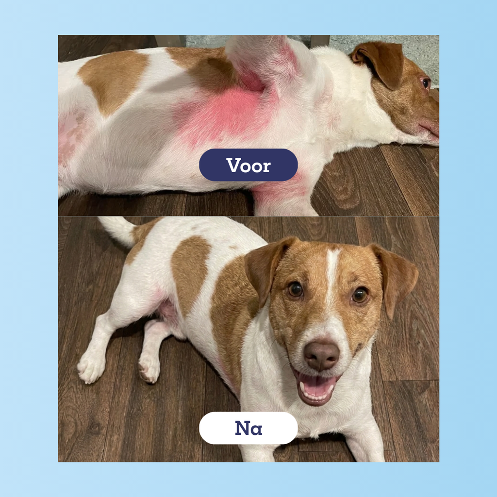 Voor en na