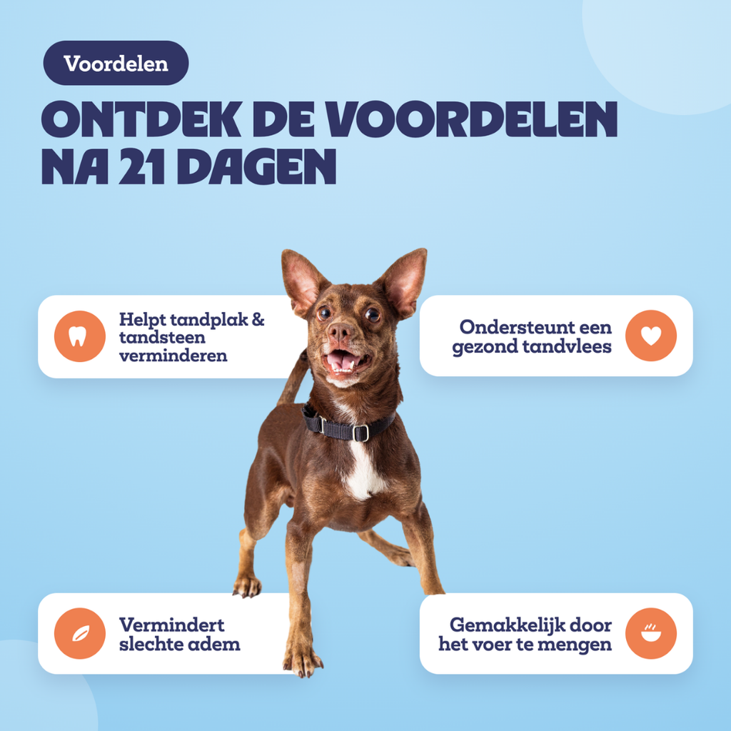 Voordelen na 21 dagen