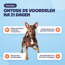 Voordelen na 21 dagen