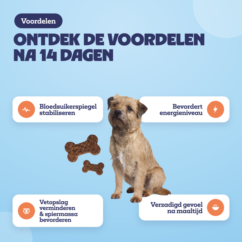 Voordelen na 14 dagen