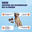 Voordelen na 14 dagen