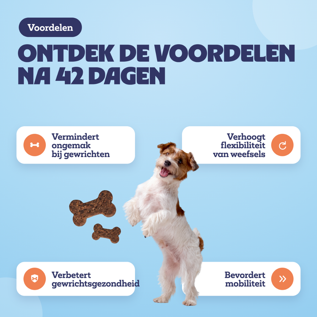 Voordelen na 42 dagen