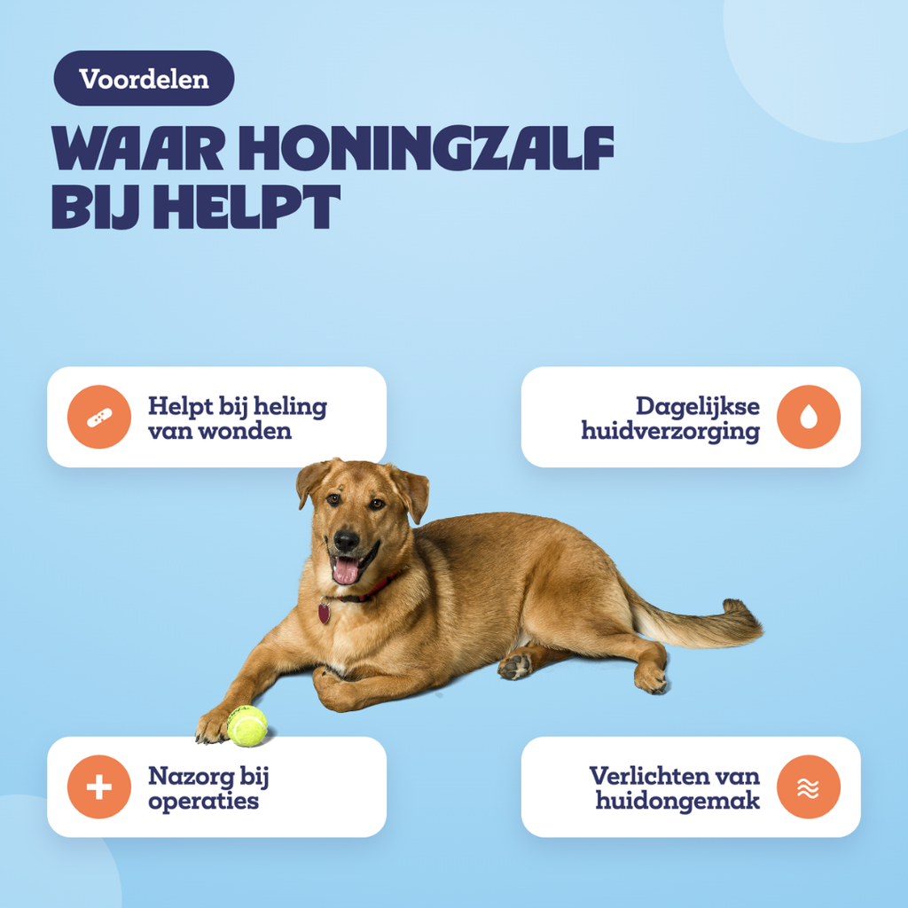 Voordelen