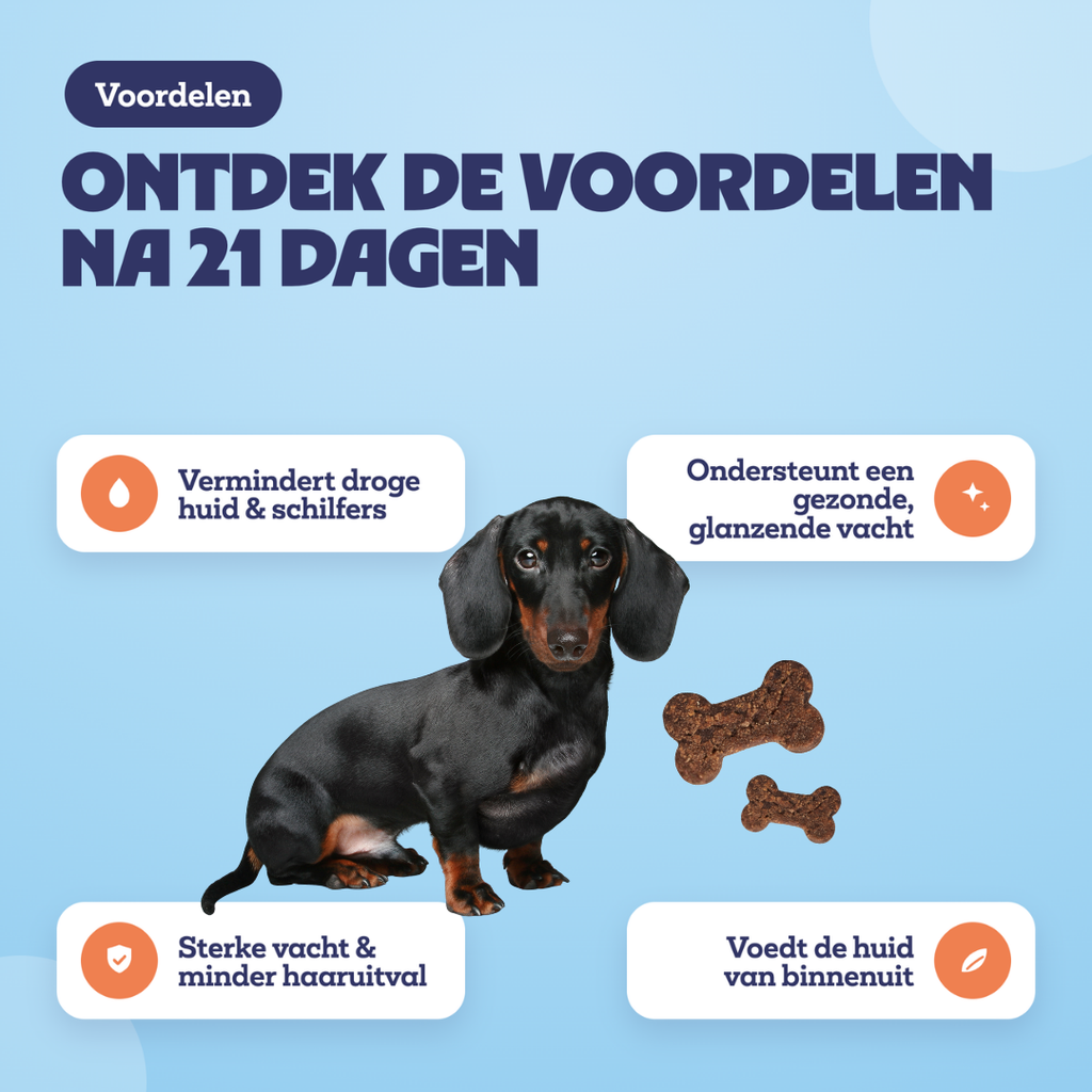 Voordelen na 21 dagen