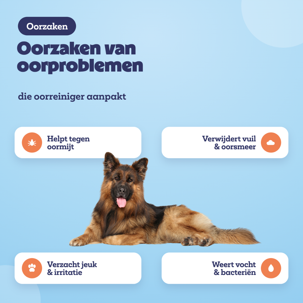 Oorzaken