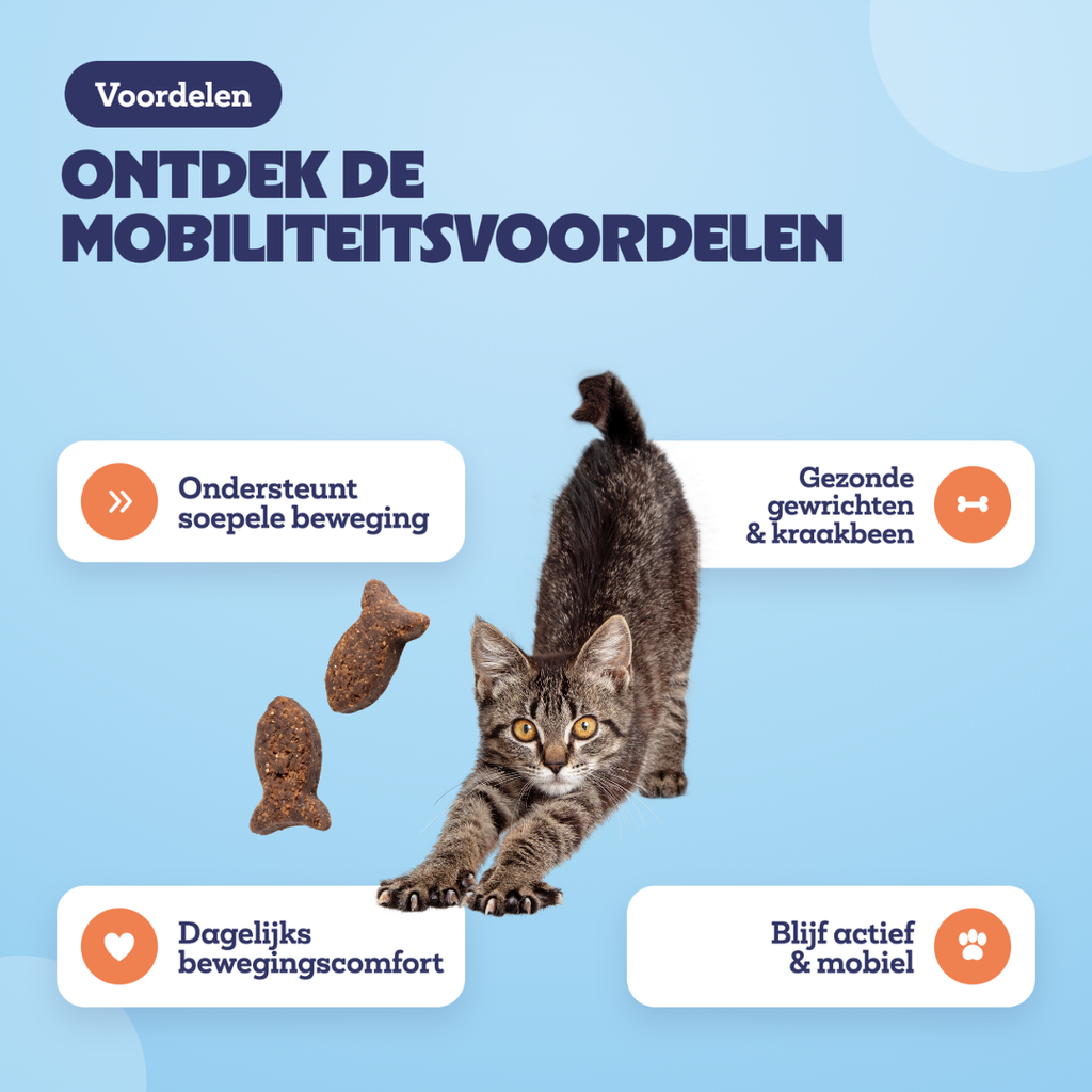 Voordelen