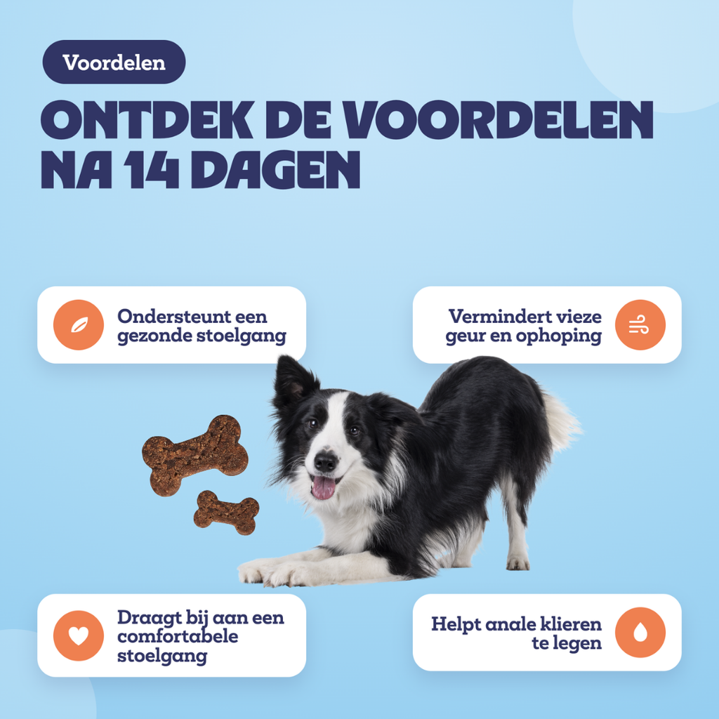 Voordelen na 14 dagen