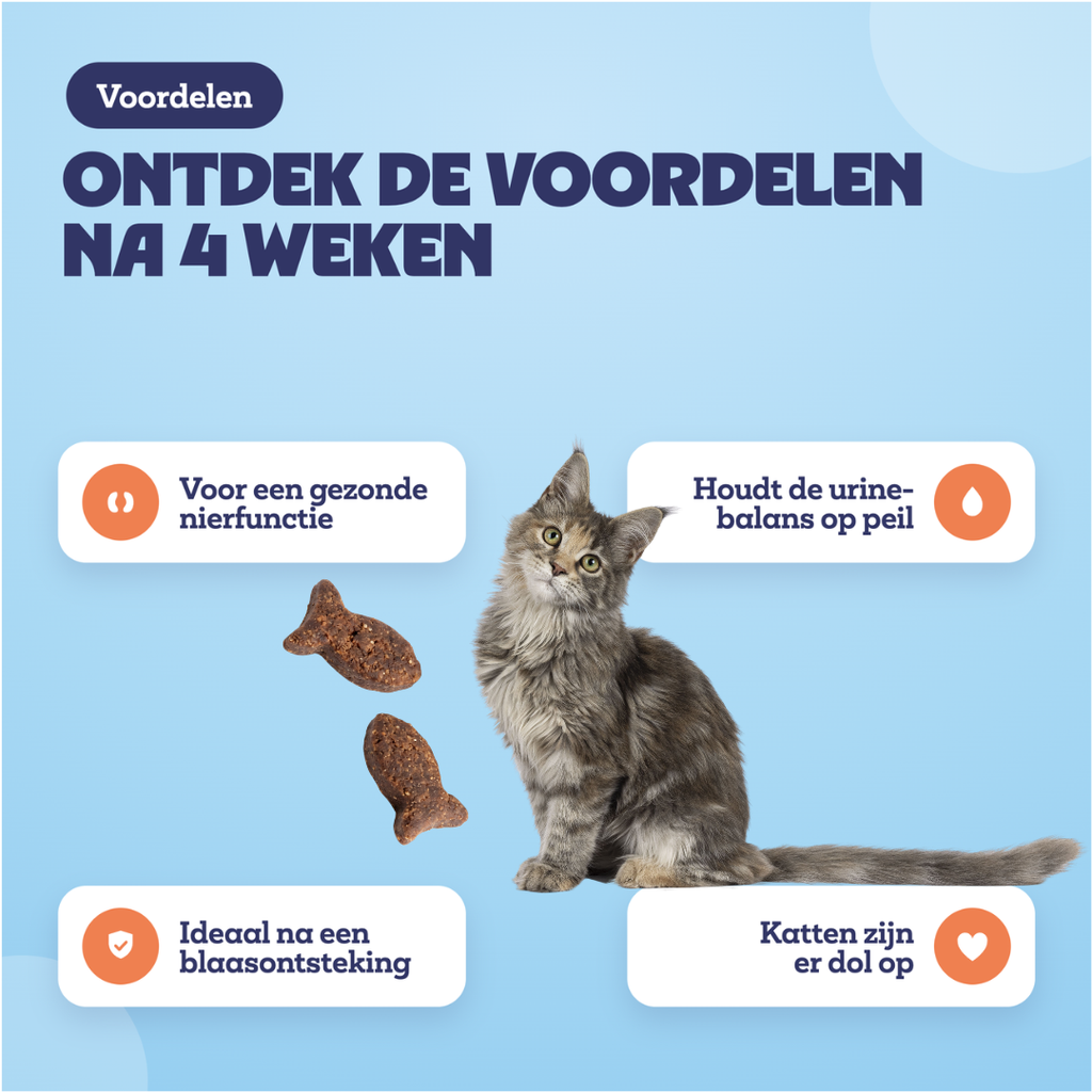 Voordelen