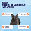 Voordelen