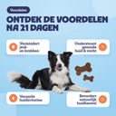 Voordelen na 21 dagen