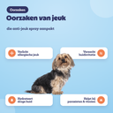 Oorzaken