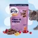 Urineweg & Blaas Supplement voor Katten
